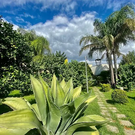 Casa de hóspedes The Rosa's Luxury House 4*